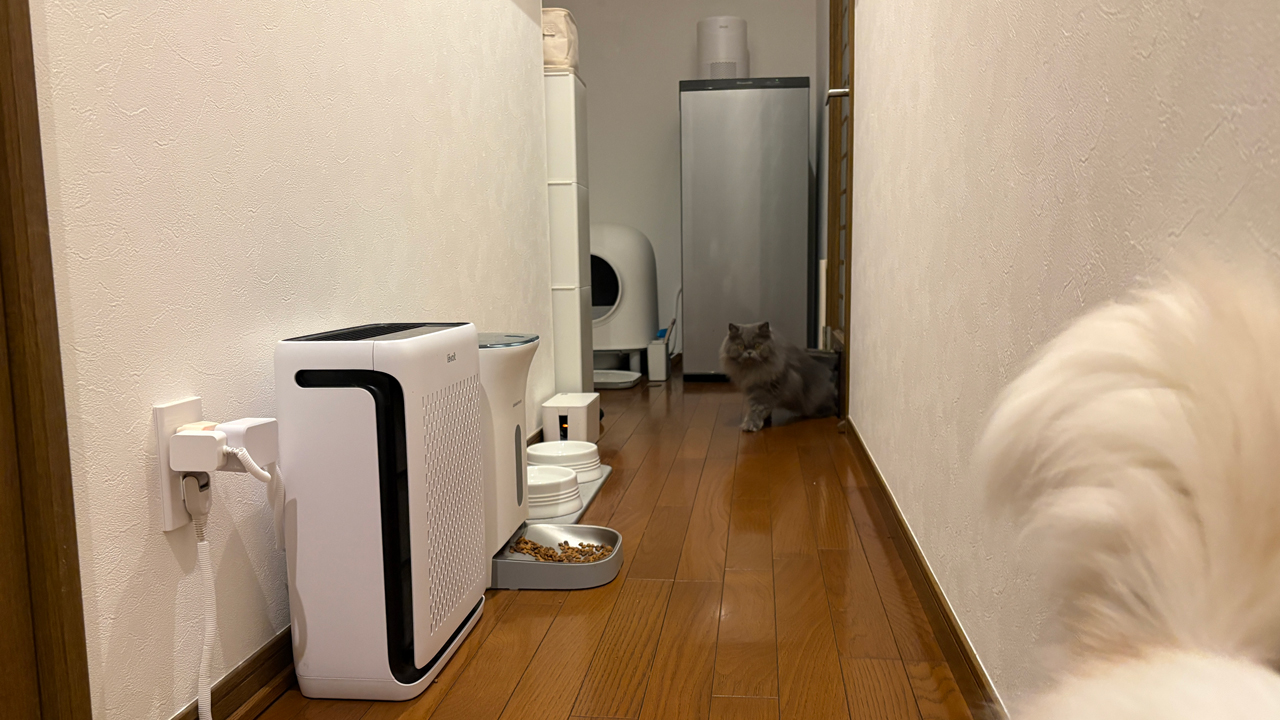 廊下に設置している薄型Levoitと、猫トイレ横の円柱型Levoit